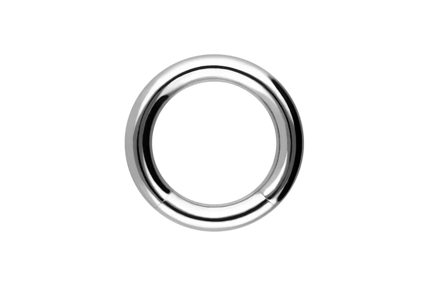 Chirurgenstahl Segmentring von Piercingline